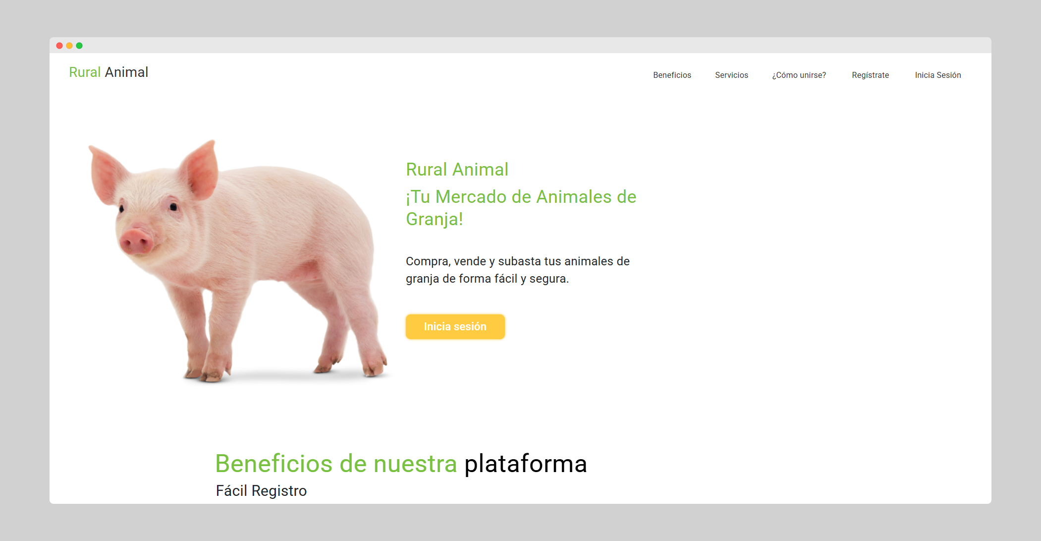 Proyecto 3